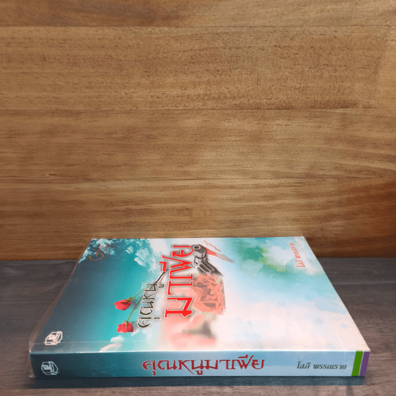 คุณหนูมาเฟีย - โสภี พรรณราย