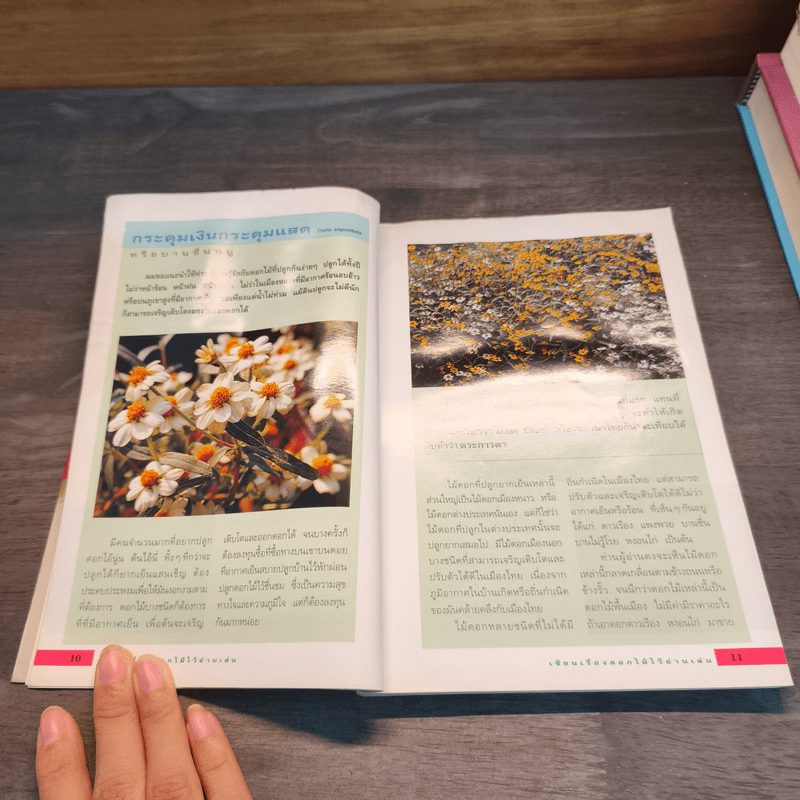 เขียนเรื่องดอกไม้ไว้อ่านเล่น เล่ม 1 - ผู้ช่วยศาสตราจารย์ธัญญะ เตชะศีลพิทักษ์