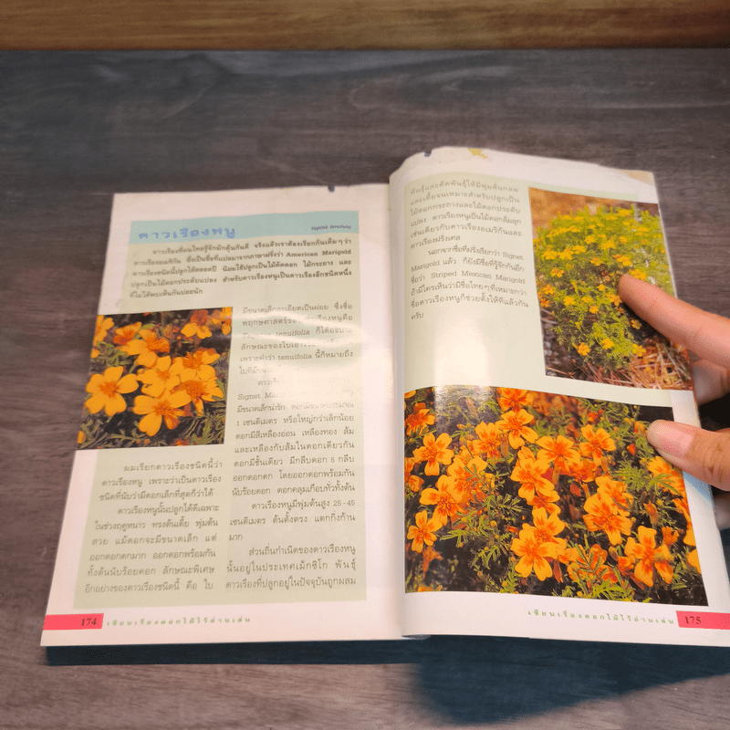 เขียนเรื่องดอกไม้ไว้อ่านเล่น เล่ม 1 - ผู้ช่วยศาสตราจารย์ธัญญะ เตชะศีลพิทักษ์