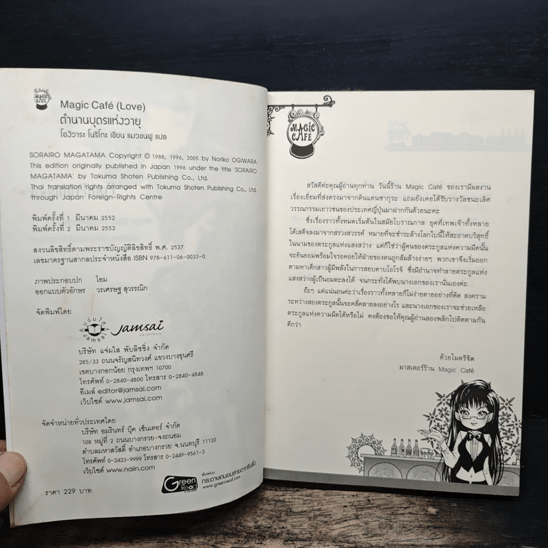 ตำนานบุตรแห่งวายุ - โองิวาระ โนริโกะ, แมวขนฟู