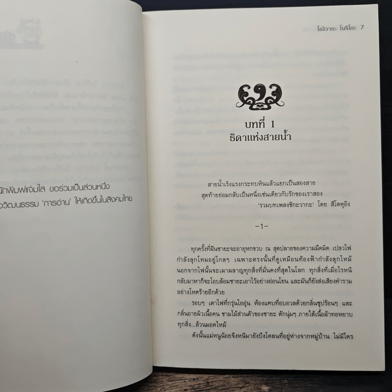 ตำนานบุตรแห่งวายุ - โองิวาระ โนริโกะ, แมวขนฟู