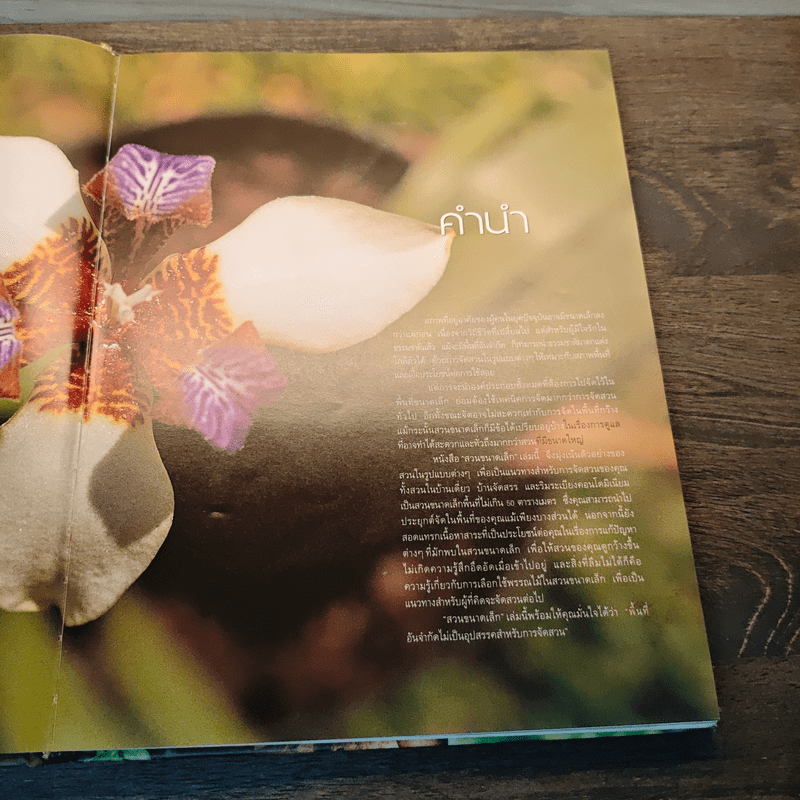 สวนในบ้าน เล่ม 12 สวนขนาดเล็ก