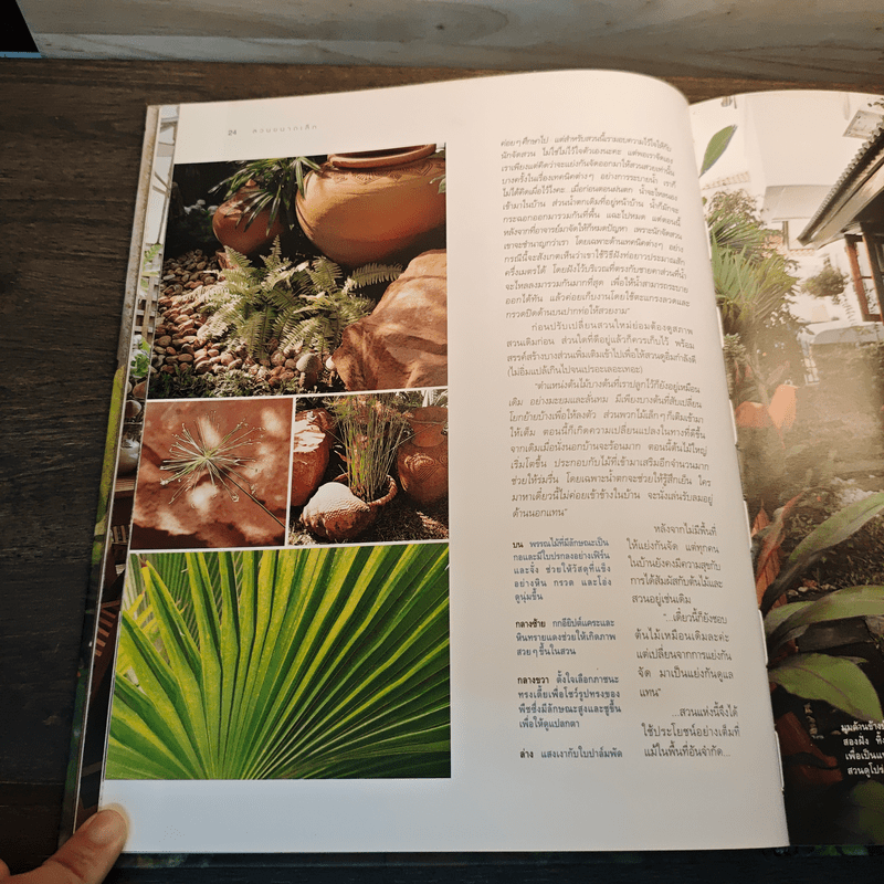 สวนในบ้าน เล่ม 12 สวนขนาดเล็ก
