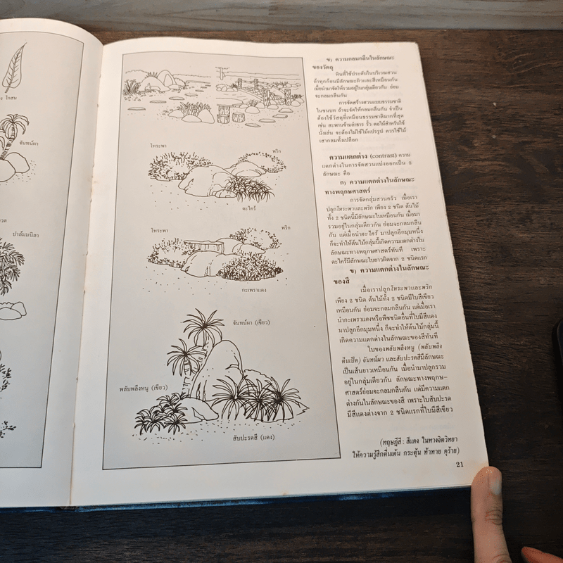 การจัดสวนในบ้าน - เสรี ทรัพยสาร