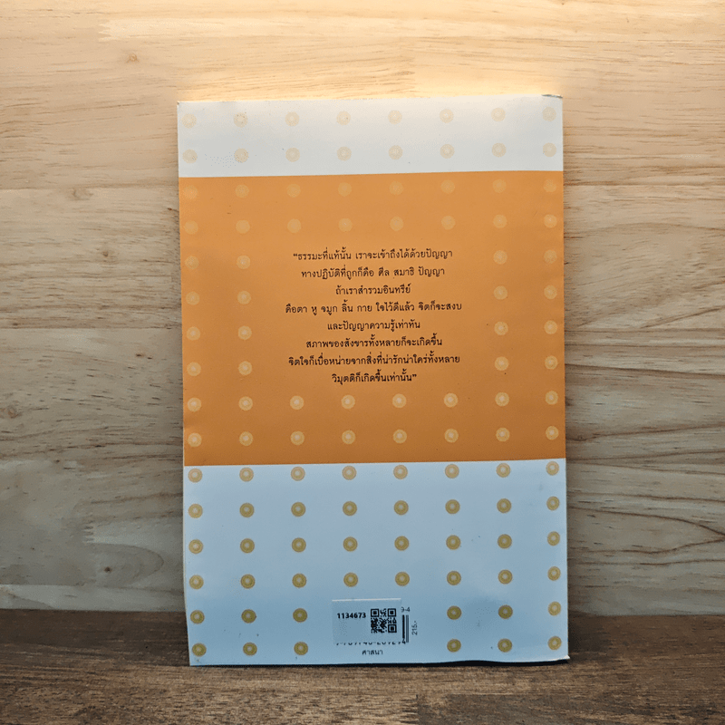 วิถีแห่งการปฏิบัติ พระอาจารย์ชา สุภทฺโท - เสถียร จันทิมาธร