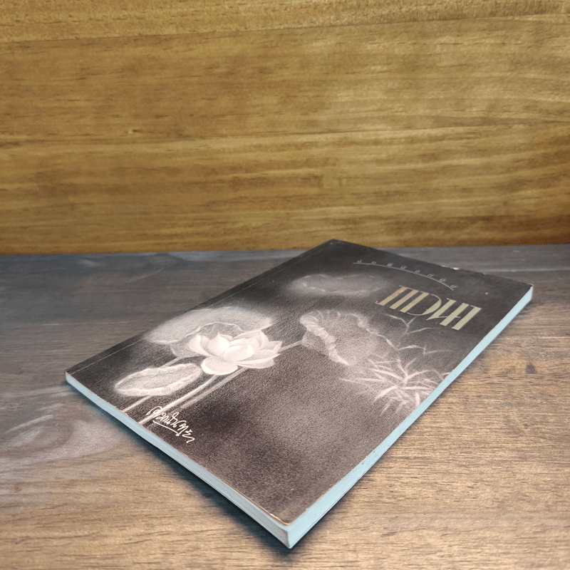 ข้อพินิจก่อนภาวนา - เขมานันทะ