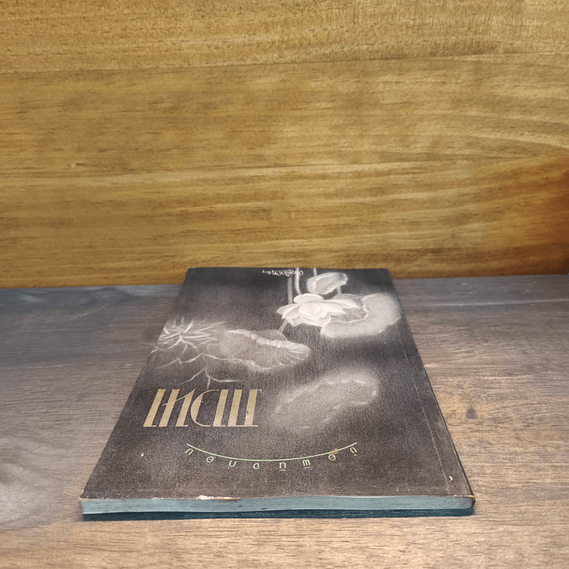 ข้อพินิจก่อนภาวนา - เขมานันทะ