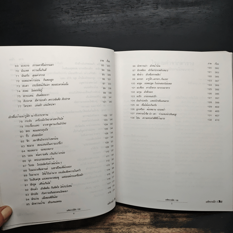 มหัศจรรย์ผัก 108