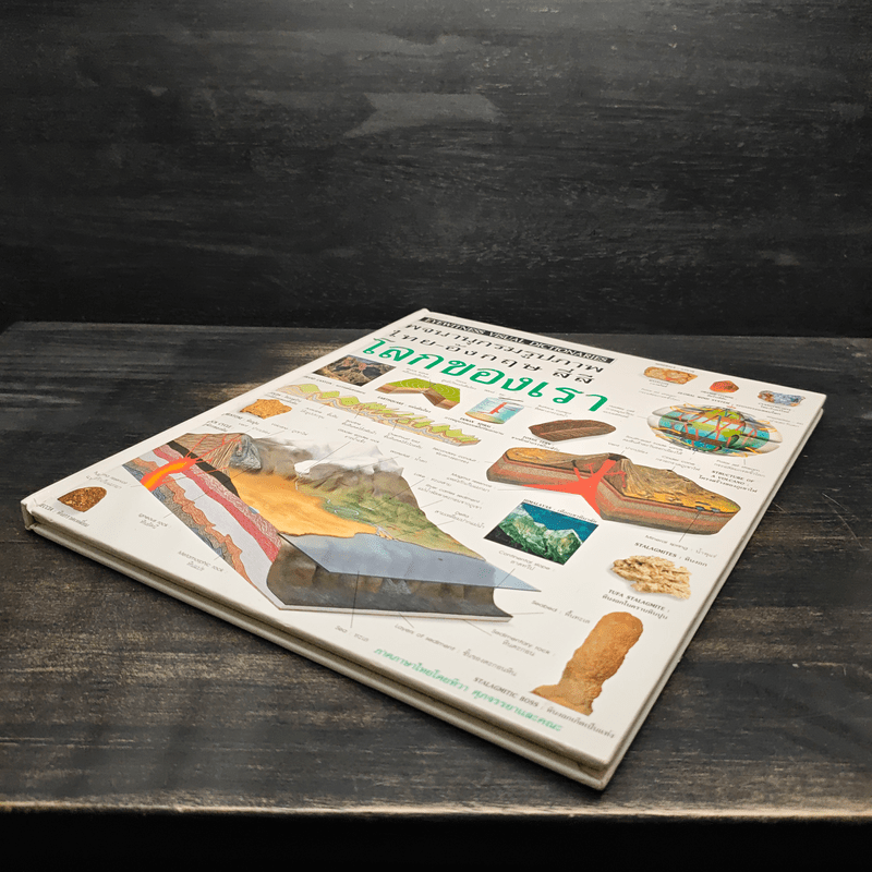 พจนานุกรมรูปภาพ ไทย-อังกฤษ สี่สี โลกของเรา