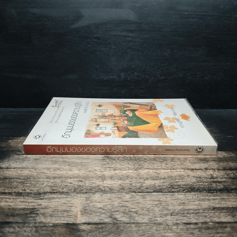 อีกมุมมองของความรู้สึก - ninaM, ญาณิน