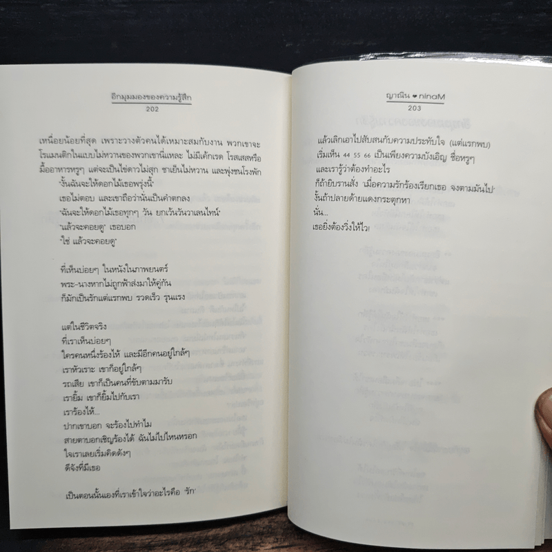 อีกมุมมองของความรู้สึก - ninaM, ญาณิน