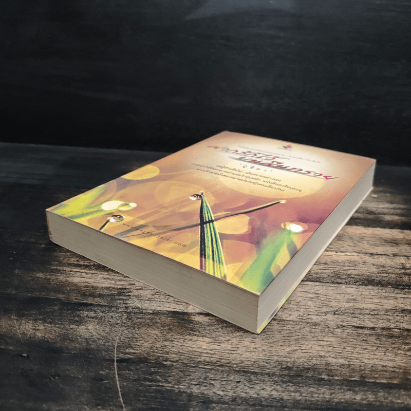 ฝากรักไว้บนผืนทราย - ภูชิดา