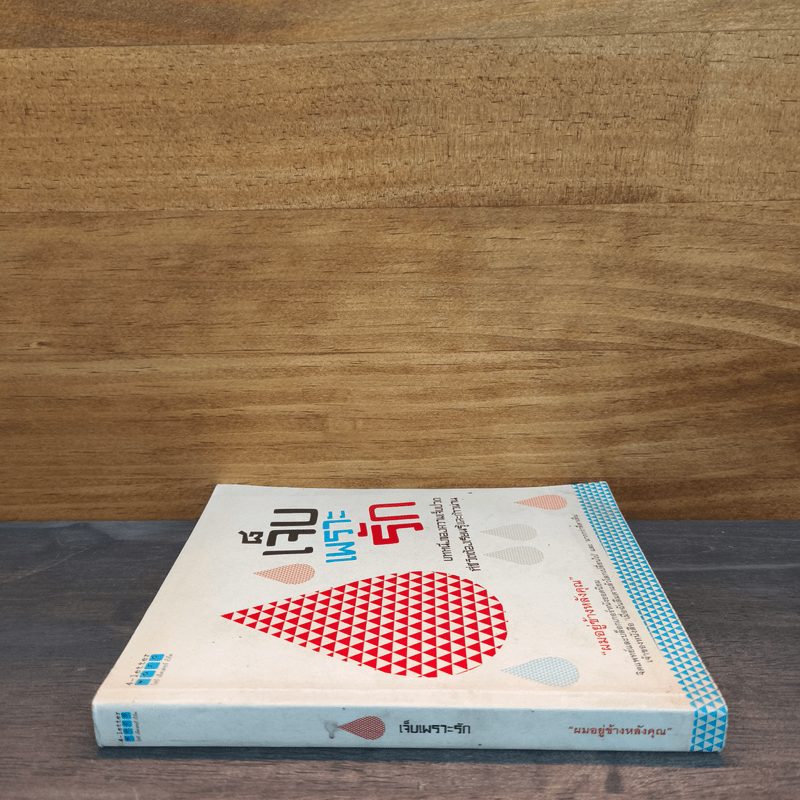 เจ็บเพราะรัก - ผมอยู่ข้างหลังคุณ