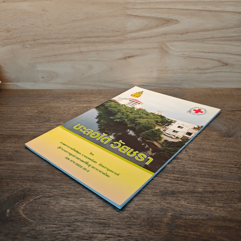 ชะลอได้ วัยชรา - ศาสตราจารย์กิตติคุณ นายแพทย์ เสก อักษรานุเคราะห์