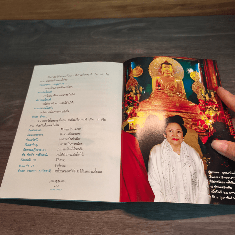 เมตตาธรรม - ว.วชิรเมธี