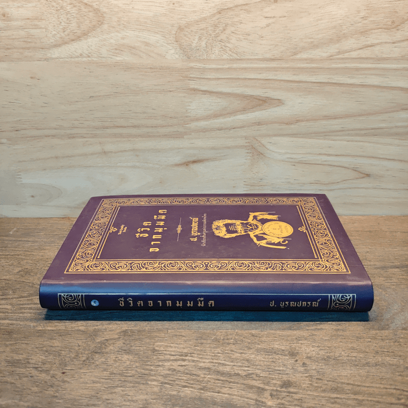 ชีวิตจากมุมมืด - ป.บูรณปกรณ์