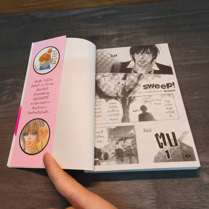 Sweep กวาดหัวใจใส่กระเป๋า - TENZEN Momoka