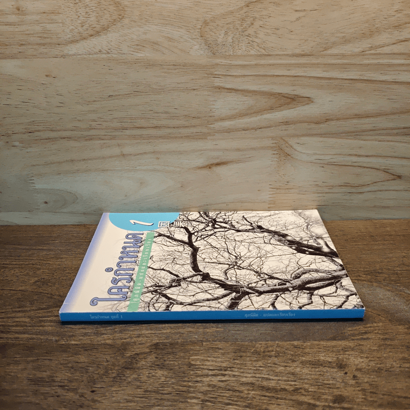 ใครกำหนด ชุดที่ 1 - ศุภนิมิต