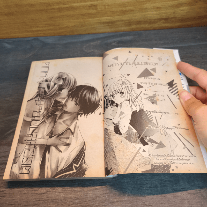 ตกหลุมรักนายแบบสุดฮอต - Mai ANDO