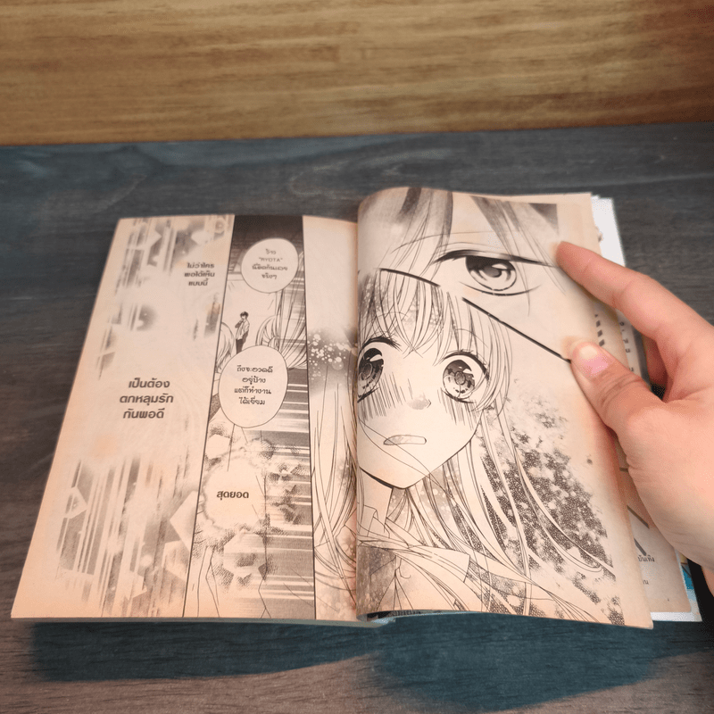 ตกหลุมรักนายแบบสุดฮอต - Mai ANDO