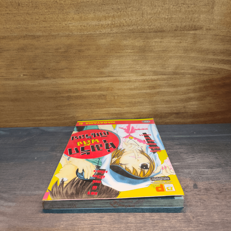 ทุ่มรักพลังเกินร้อย - Nagayama Ei