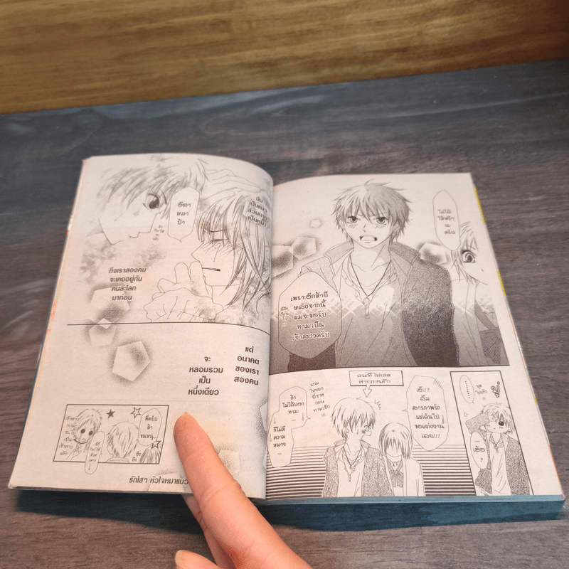 ทุ่มรักพลังเกินร้อย - Nagayama Ei