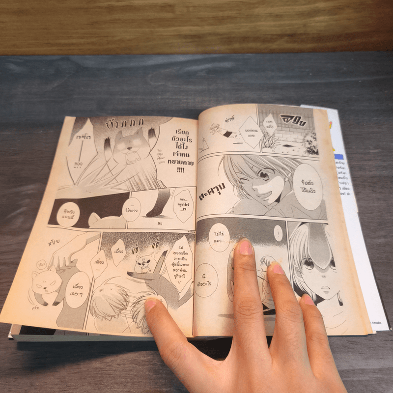 คุณชายน้ำแข็งแผลงฤทธิ์รัก (ซะให้เข็ด) เล่ม 2 - Rei Toma