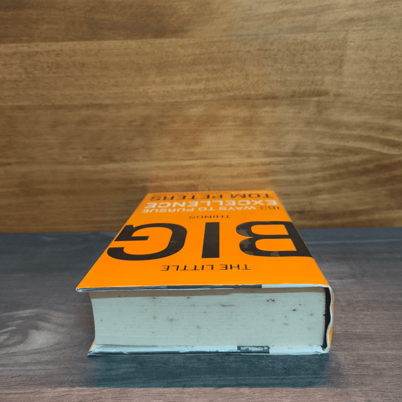 The Little Big Things: 163 Ways to Pursue Excellence - Tom Peters