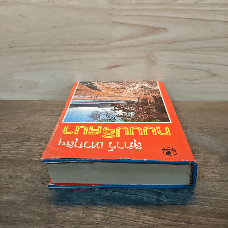 ถนนปริศนา - สุภาว์ เทวกุลฯ