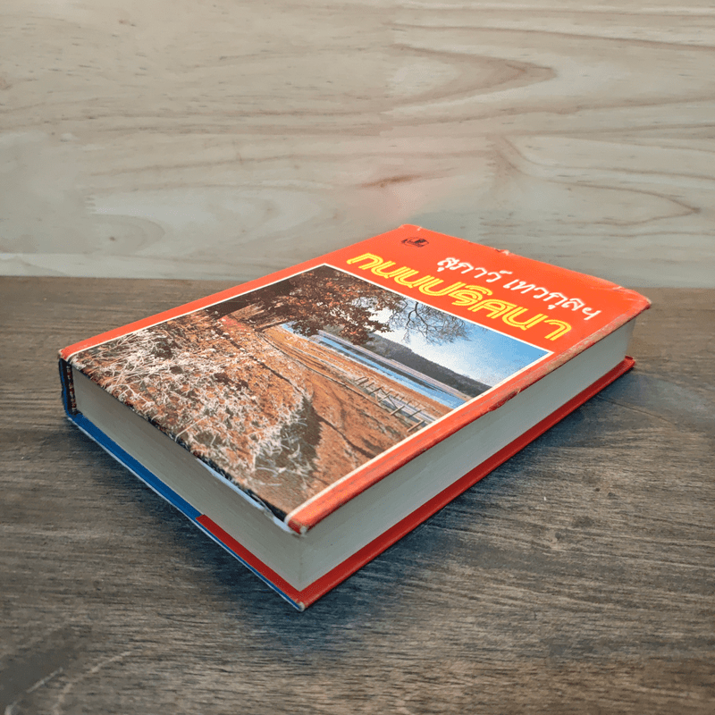 ถนนปริศนา - สุภาว์ เทวกุลฯ