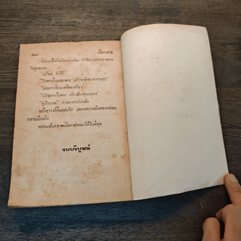 เมียกาฝาก - นลิน บุษกร