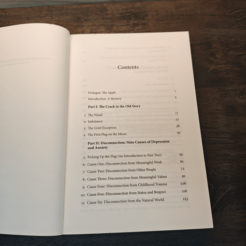 Lost Connections: Uncovering the Real Causes of Depression - and the Unexpected Solutions - Johann Hari