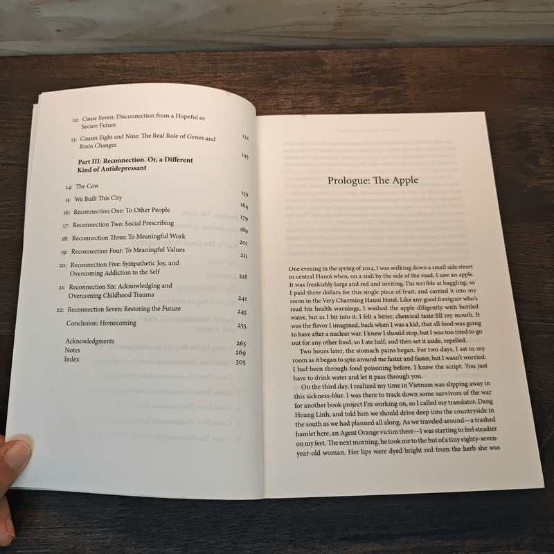 Lost Connections: Uncovering the Real Causes of Depression - and the Unexpected Solutions - Johann Hari