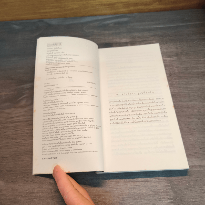 ทุ่งหญ้าสีน้ำเงิน - พิบูลศักดิ์ ละครพล