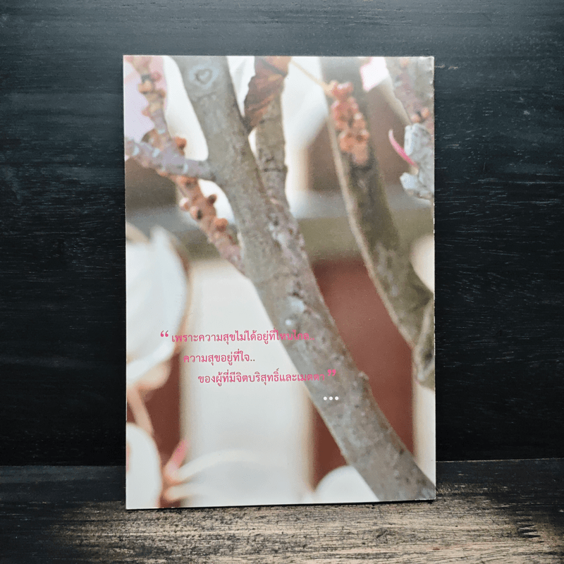 ความสุขอยู่ที่ใจ ของขวัญจากพระพุทธเจ้า - ธารธรรม