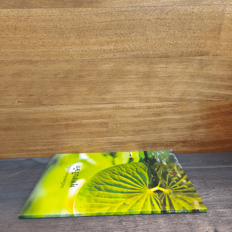 ประโยชน์ของการเป็นพุทธบริษัท