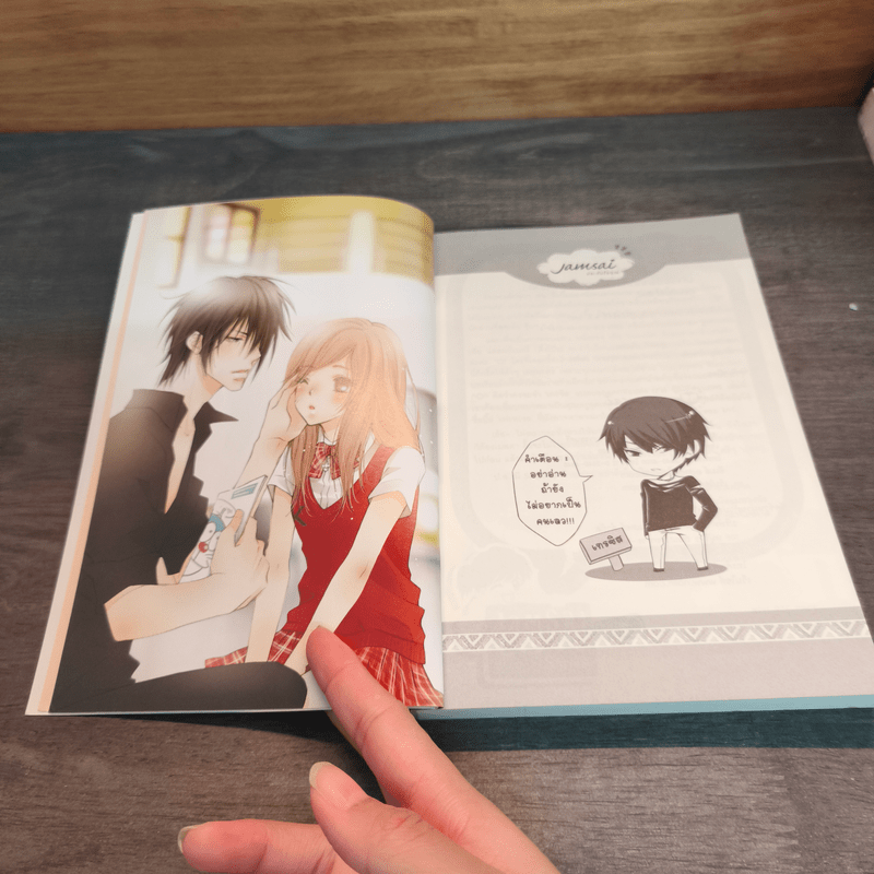 [7's] Pretty Bad Girl บทเรียนรักกั๊กหัวใจยัยวายร้ายฝึกหัด - แสตมป์เบอรี่