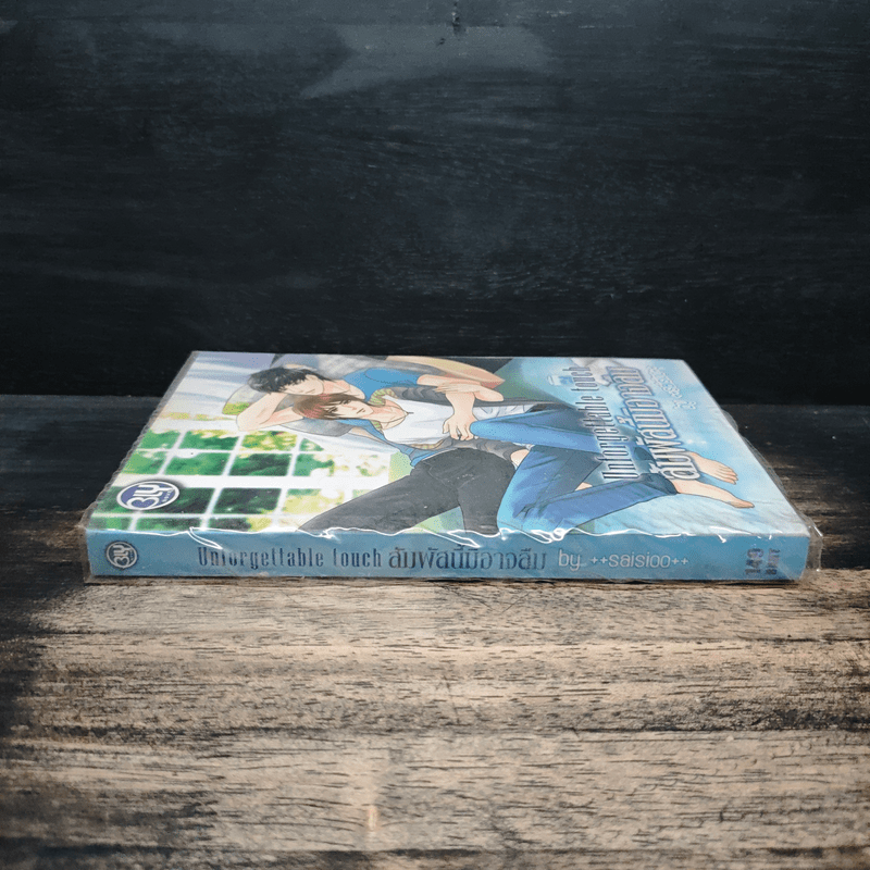 สัมผัสนี้มิอาจลืม Unforgettable Touch - saisioo