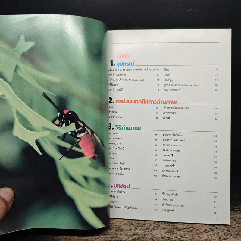 มือใหม่ถ่ายภาพ เรียนถ่ายภาพด้วยตนเอง - ทอม เชื้อวิวัฒน์