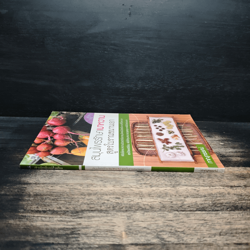 สมุนไพรรักษาเบาหวาน สูตรโบราณขนานเอก - ภาณุทรรศน์