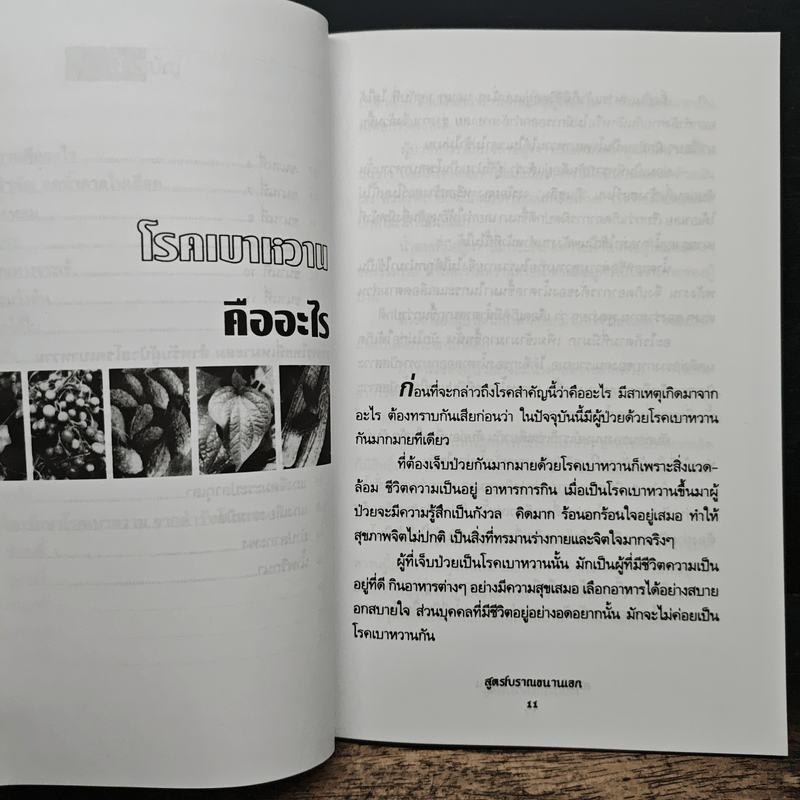 สมุนไพรรักษาเบาหวาน สูตรโบราณขนานเอก - ภาณุทรรศน์