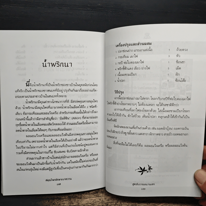 สมุนไพรรักษาเบาหวาน สูตรโบราณขนานเอก - ภาณุทรรศน์