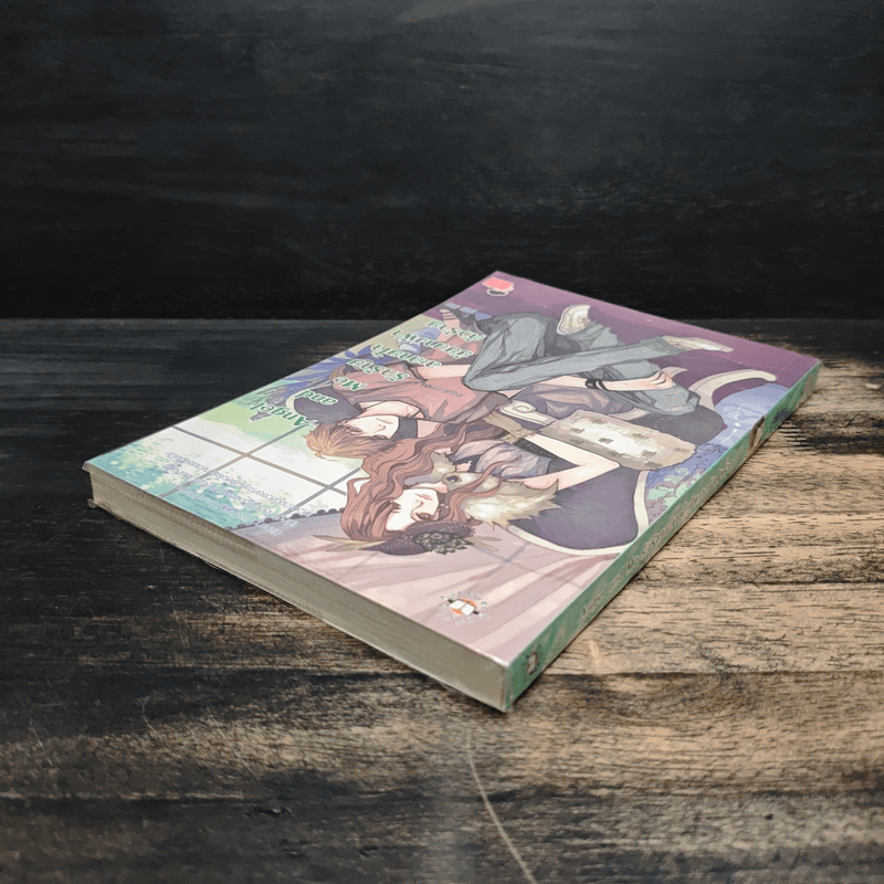 Angel and Me รักร้ายละลายใจยัยนางฟ้าตัวร้าย - ลูกชุบ