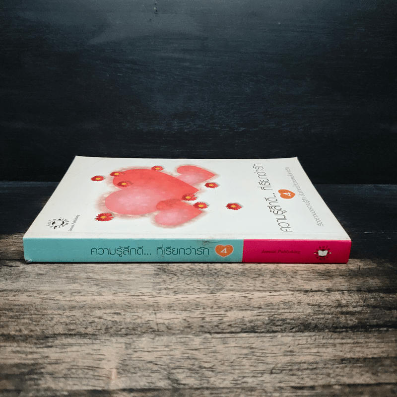 ความรู้สึกดี...ที่เรียกว่ารัก 4