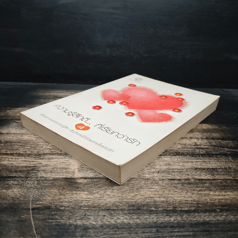 ความรู้สึกดี...ที่เรียกว่ารัก 4