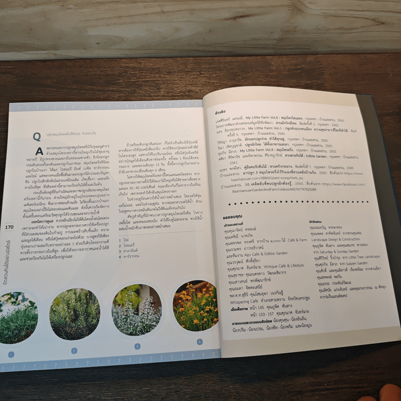 จัดสวนกินได้อย่างมีสไตล์ The Edible Garden - ทิพาพรรณ ศิริเวชฎารักษ์