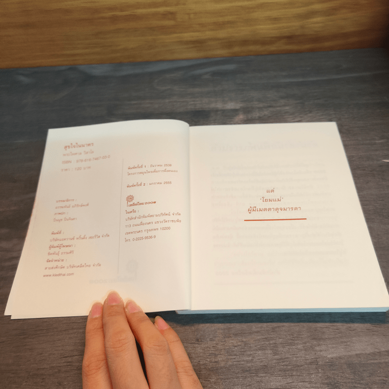 สุขใจในนาคร ศิลปะแห่งการอยู่เมืองใหญ่อย่างมีความสุข - พระไพศาล วิสาโล