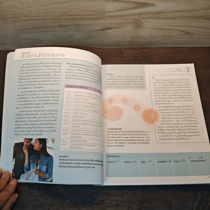 คู่มือการตั้งครรภ์สำหรับคุณแม่มือใหม่ - Dr.Jane Macdougall