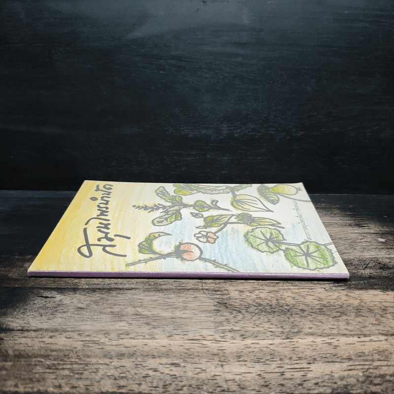 สมุนไพรบำบัด