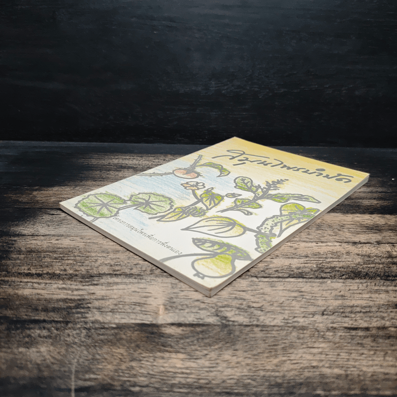 สมุนไพรบำบัด